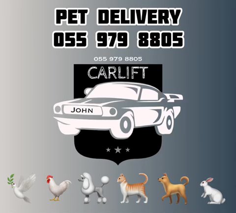 Pet Delivery | Pet Taxi in Dubai