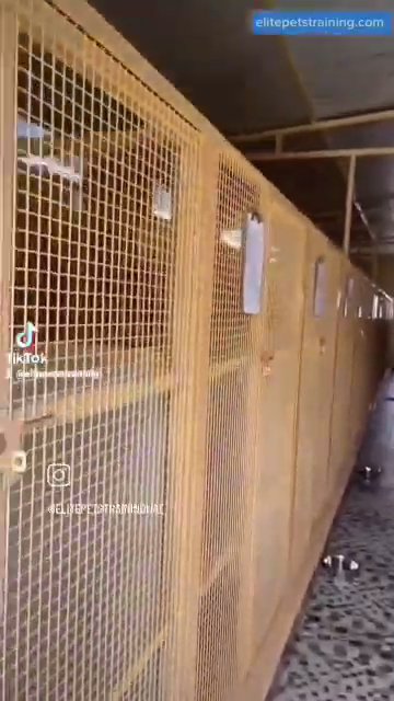 Elite Pets - Dog Training Centre ❤ in Sharjah