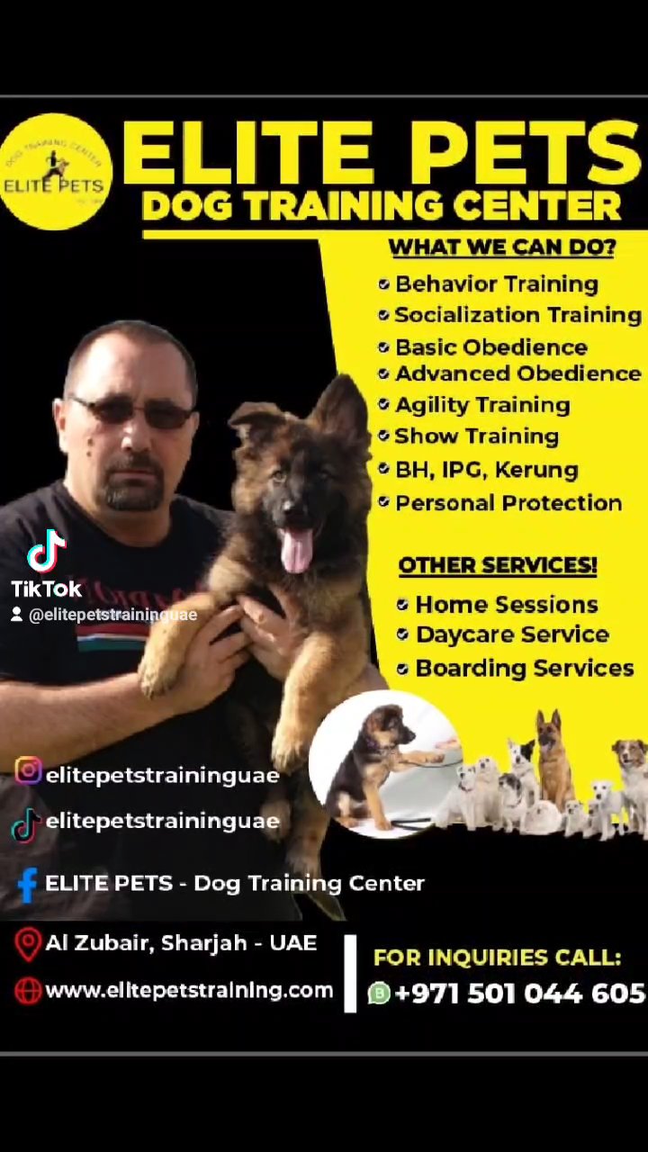 Elite Pets - Dog Training Center ❤ in Sharjah