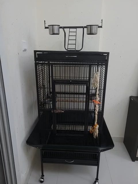 parrot cage large in Dubai