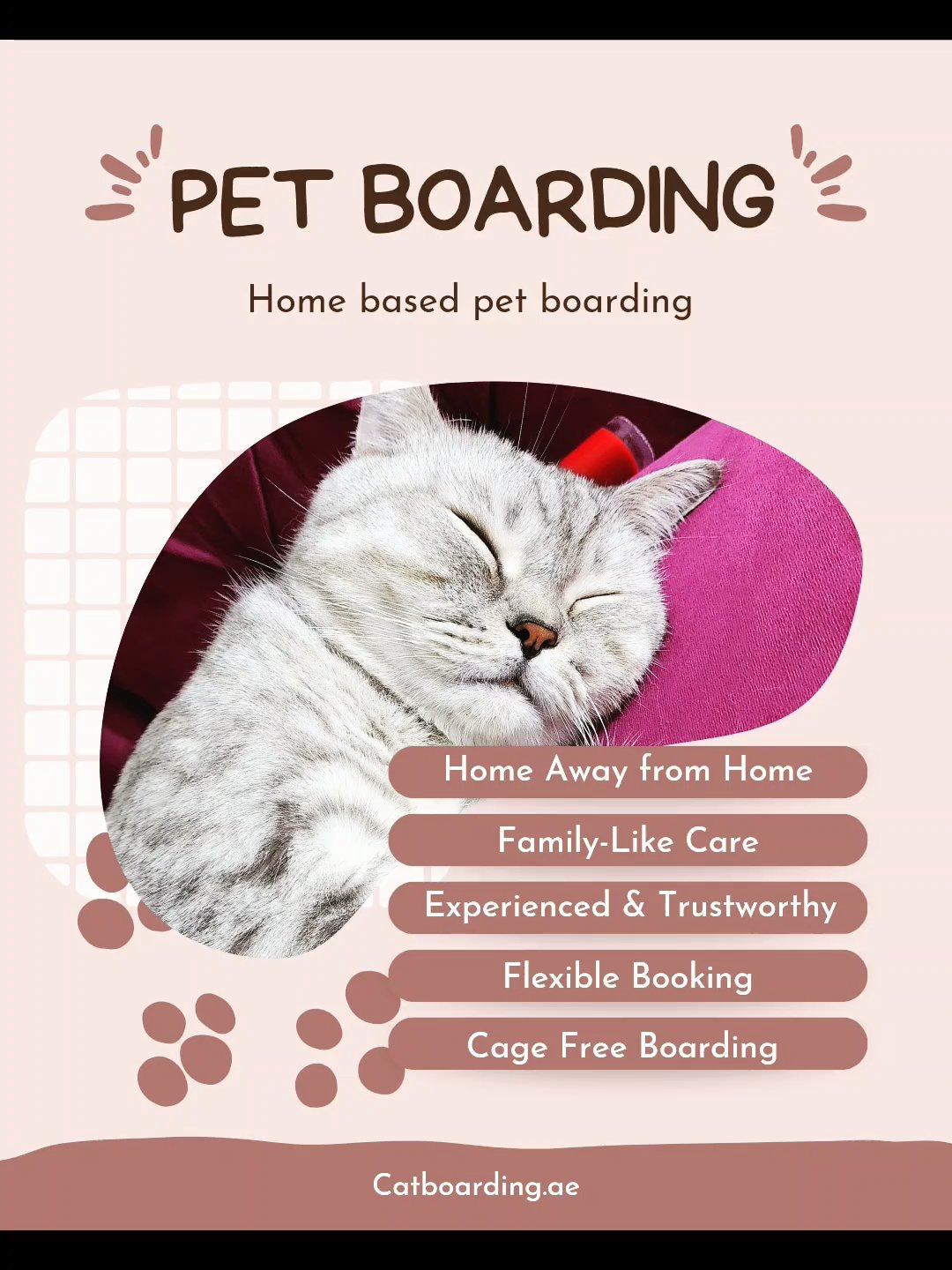 Pet Boarding in Dubai