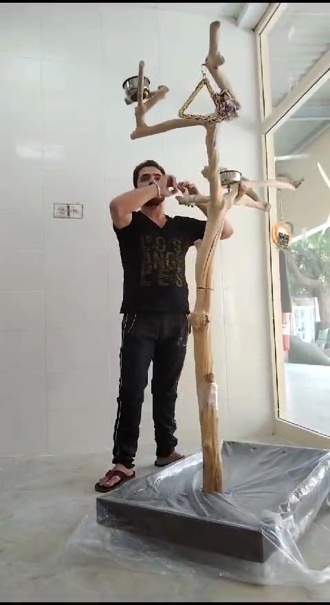 ستاند خشب غاف in Ajman