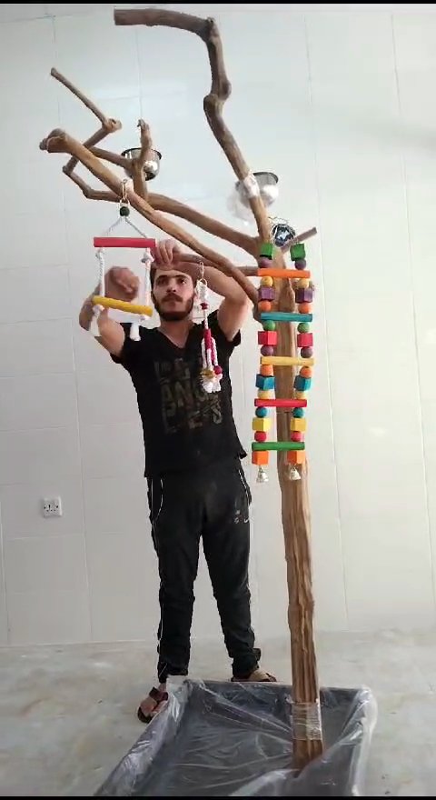 ستاند خشب غاف in Ajman