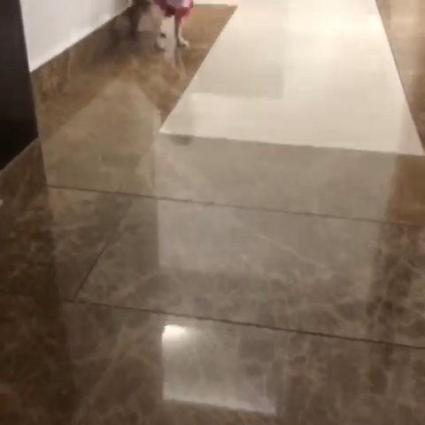 Required in Abu Dhabi