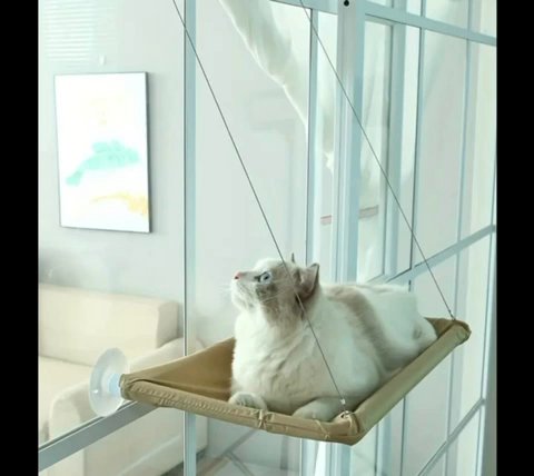 Cat Window Hammock in Dubai