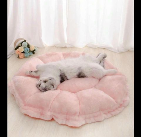 Shaped Pet Bed XL Size in Dubai