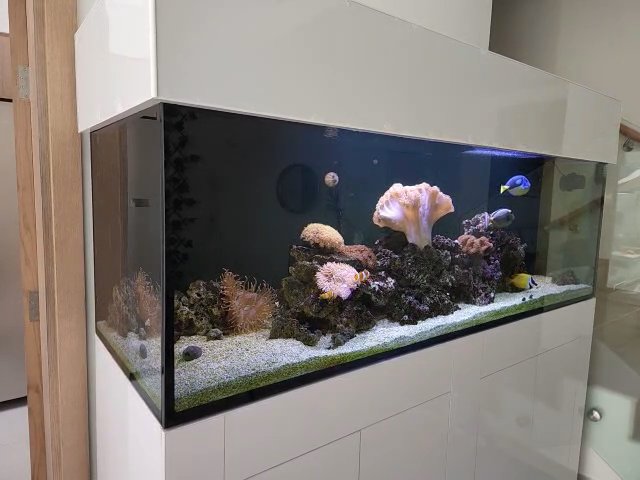 800l Aquarium in Fujairah
