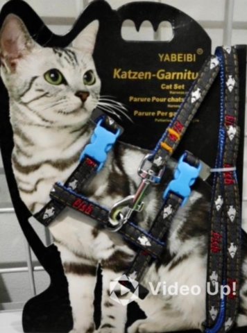 Cat Harness With Leash 🐱 in Dubai