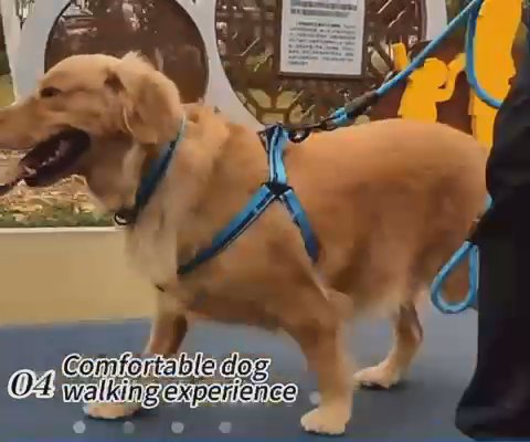 Dog Harness With Leash 🐶 in Dubai