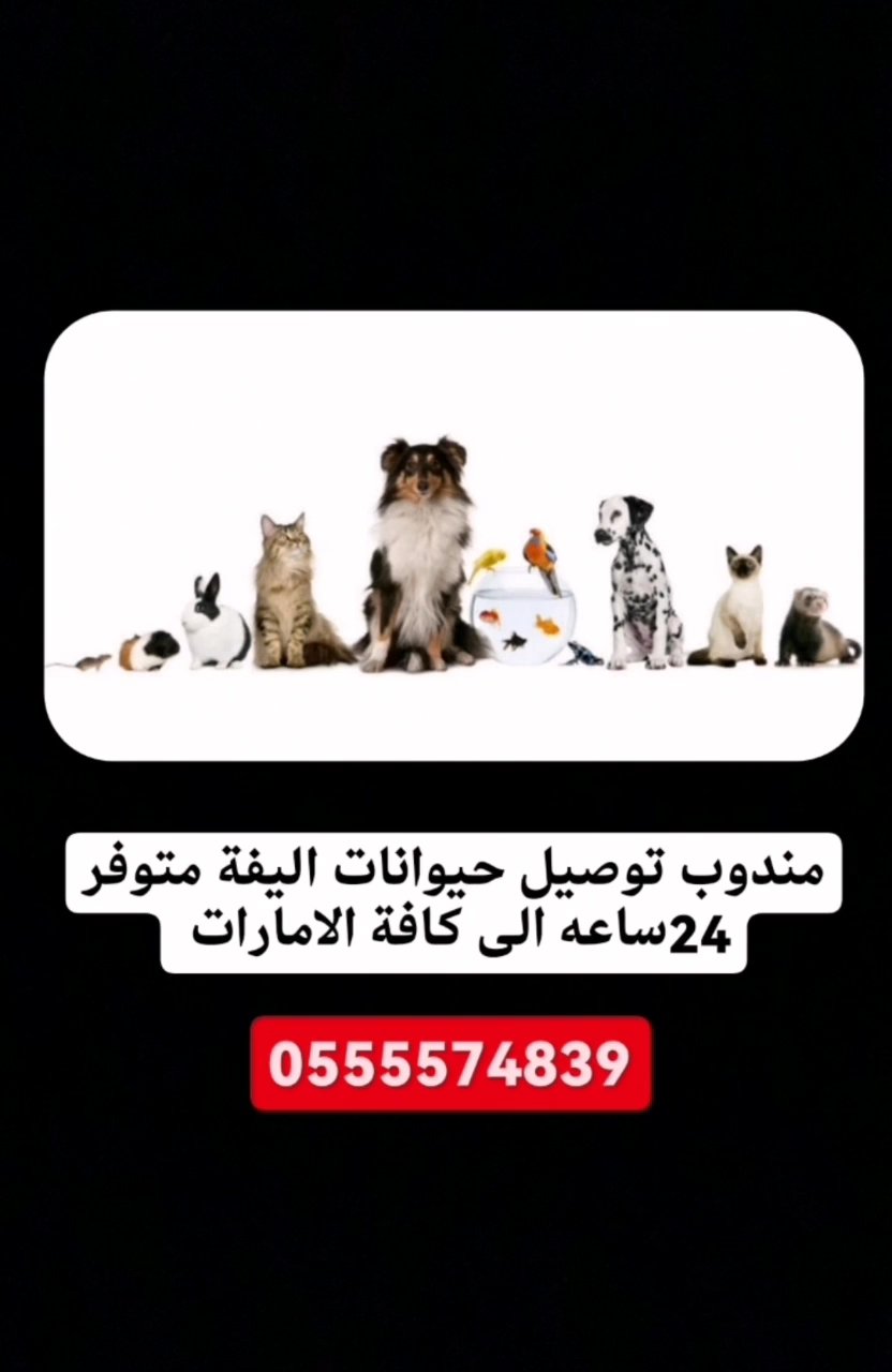 مندوب توصيل حيوانات اليفة متوفر 24ساعه الى كافة الامارات in Al Ain