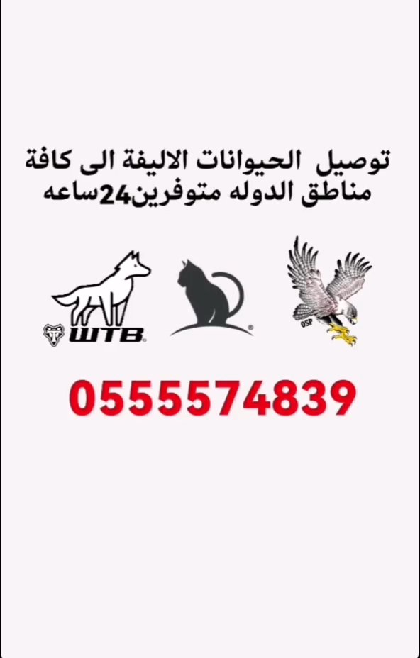 خدمة توصيل الحيوانات الاليفة الى جميع مناطق الدولة in Sharjah