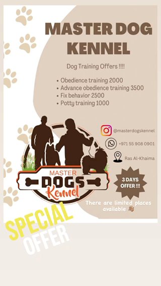 Offers On Our Training Packages 👋🏽 in Dubai