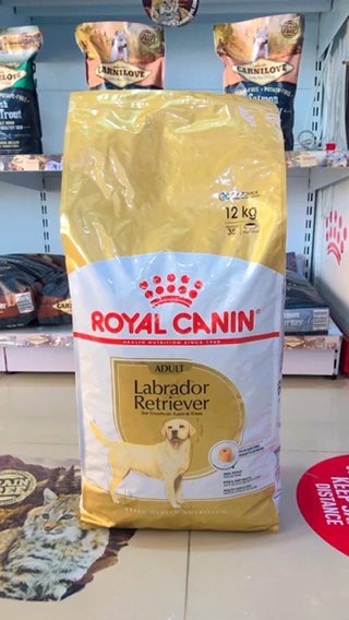 Royal canin Labrador retriever Adult 12kg in Dubai