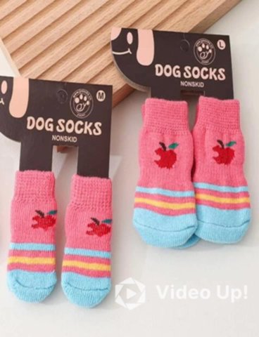 Pet Socks 🐱🐶 in Dubai