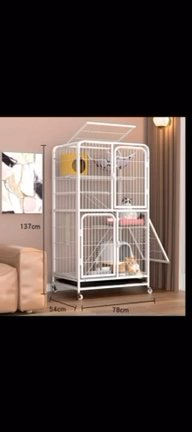 Cats cage in Abu Dhabi