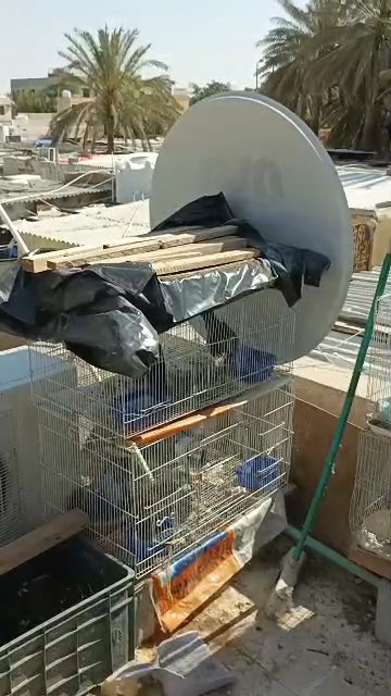 full loft for sale in Al Ain